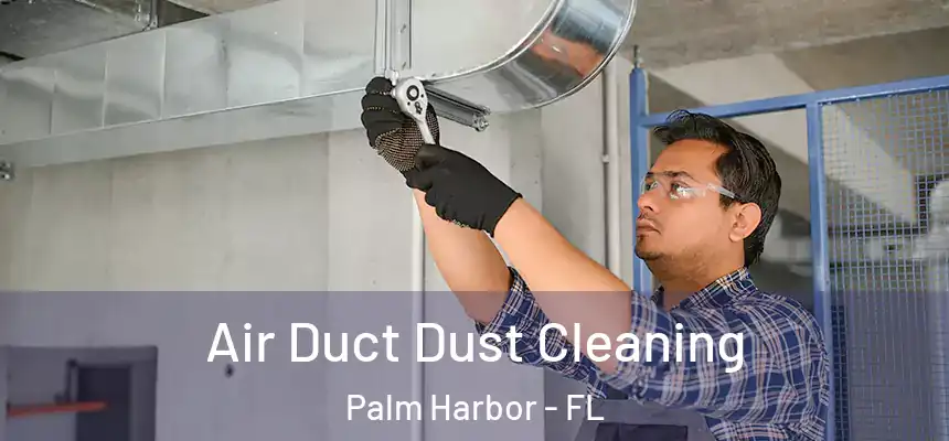  Air Duct Dust Cleaning Palm Harbor - FL