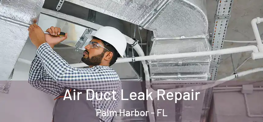  Air Duct Leak Repair Palm Harbor - FL
