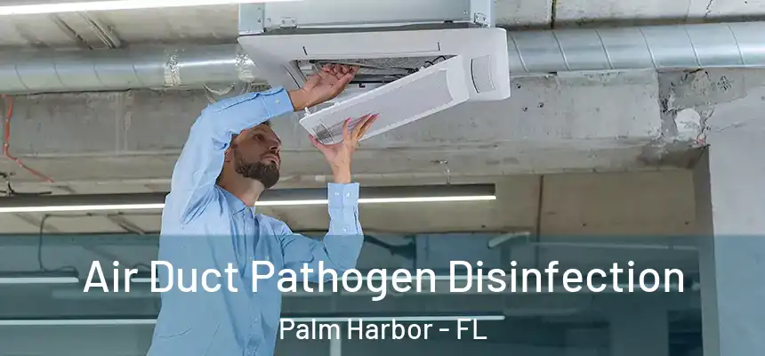  Air Duct Pathogen Disinfection Palm Harbor - FL