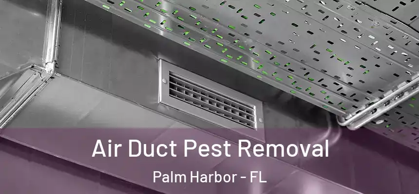  Air Duct Pest Removal Palm Harbor - FL