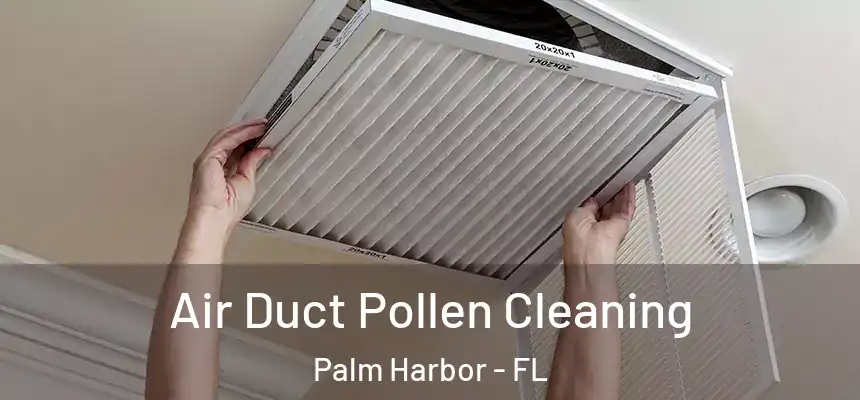  Air Duct Pollen Cleaning Palm Harbor - FL