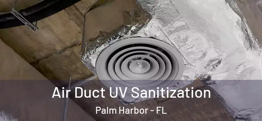  Air Duct UV Sanitization Palm Harbor - FL