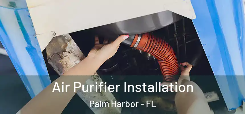  Air Purifier Installation Palm Harbor - FL