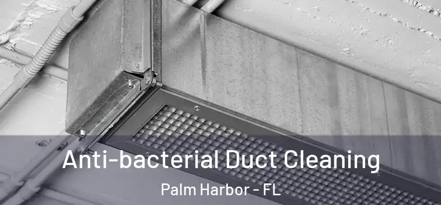  Anti-bacterial Duct Cleaning Palm Harbor - FL