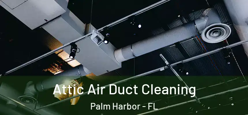  Attic Air Duct Cleaning Palm Harbor - FL
