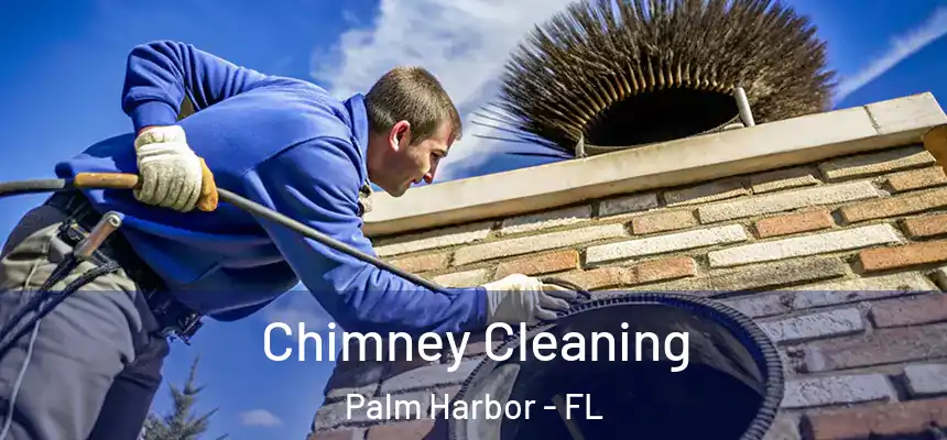  Chimney Cleaning Palm Harbor - FL