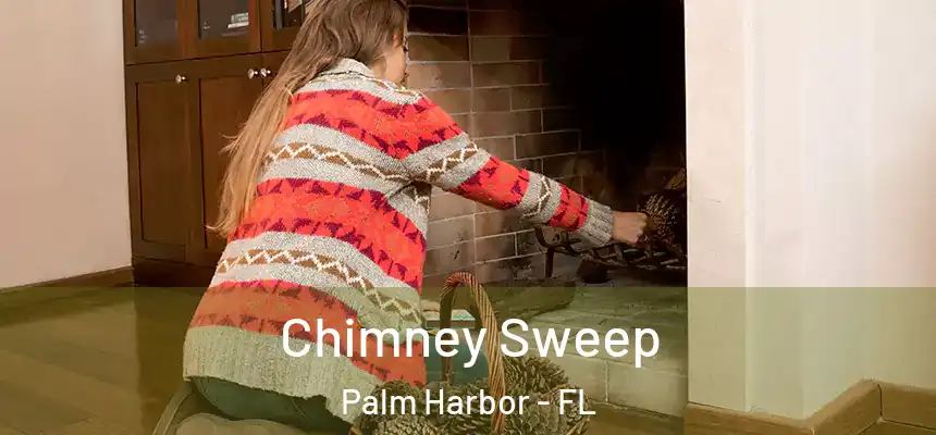  Chimney Sweep Palm Harbor - FL