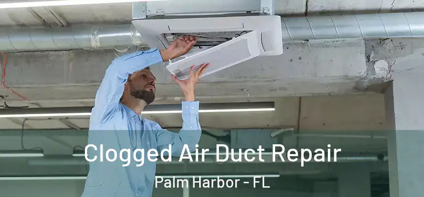  Clogged Air Duct Repair Palm Harbor - FL