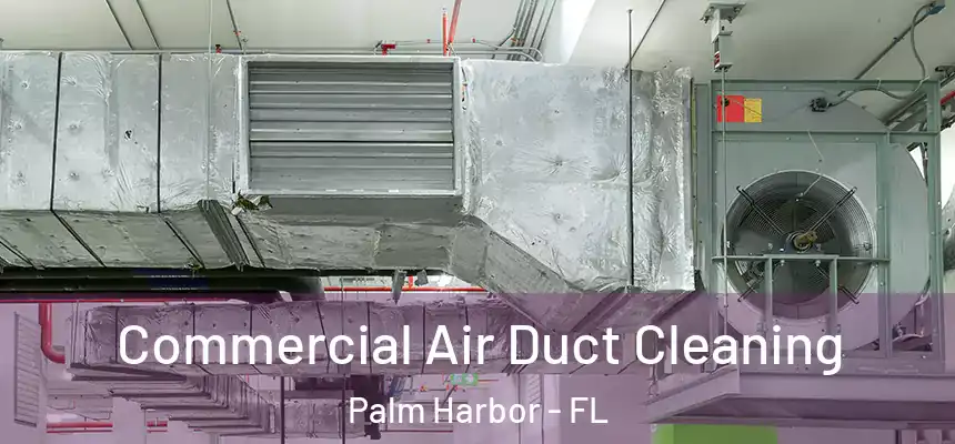  Commercial Air Duct Cleaning Palm Harbor - FL