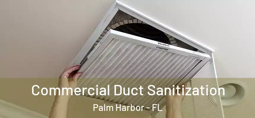  Commercial Duct Sanitization Palm Harbor - FL