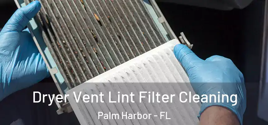  Dryer Vent Lint Filter Cleaning Palm Harbor - FL