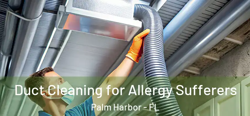 Duct Cleaning for Allergy Sufferers Palm Harbor - FL