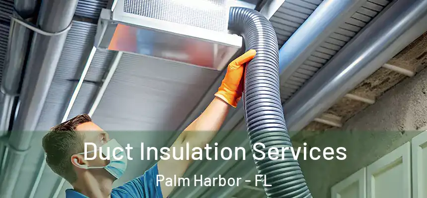  Duct Insulation Services Palm Harbor - FL