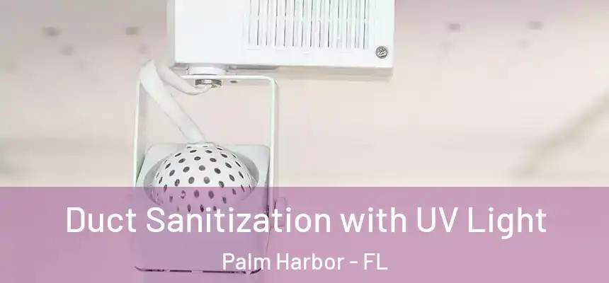  Duct Sanitization with UV Light Palm Harbor - FL