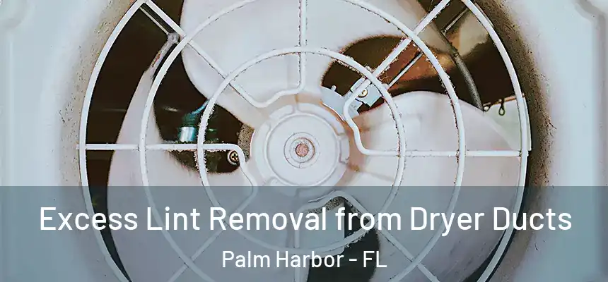  Excess Lint Removal from Dryer Ducts Palm Harbor - FL