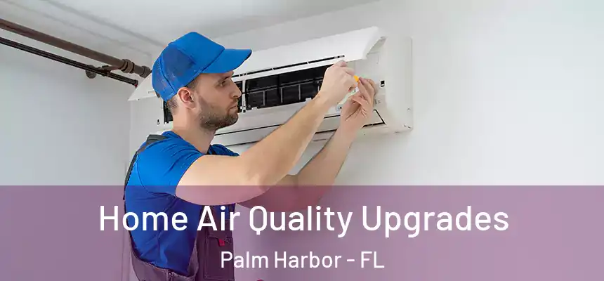  Home Air Quality Upgrades Palm Harbor - FL