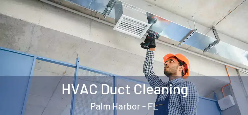  HVAC Duct Cleaning Palm Harbor - FL