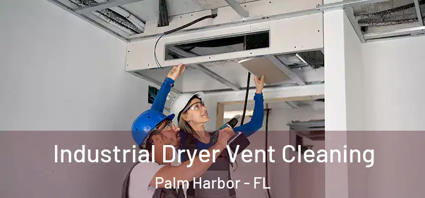  Industrial Dryer Vent Cleaning Palm Harbor - FL