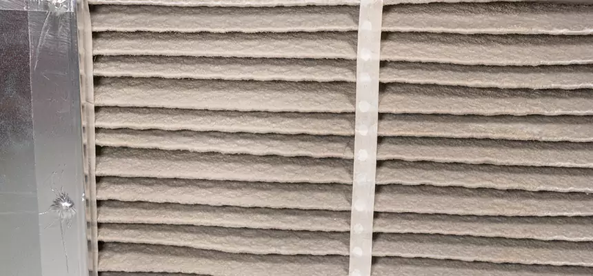 Mobile Car AC Filter Replacement in Palm Harbor