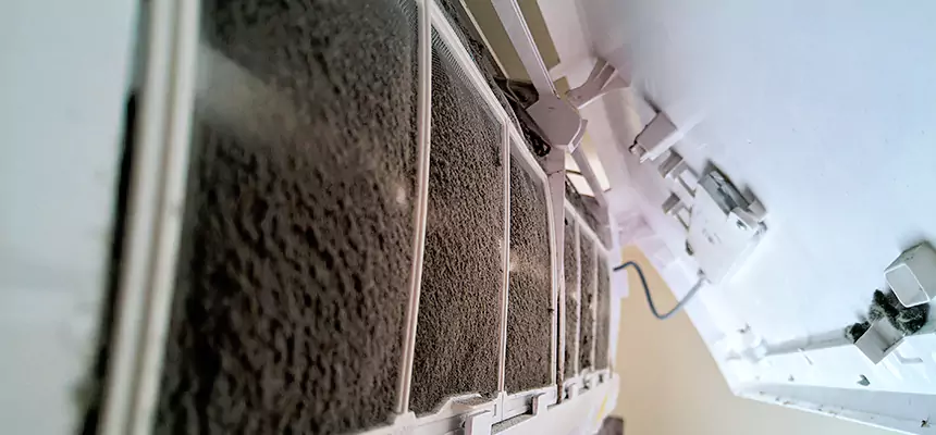 Preventive Air Duct Bacteria Removal in Palm Harbor