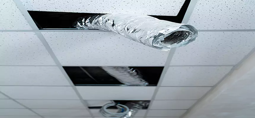 Affordable HVAC Sanitizing After Pest Removal in Palm Harbor