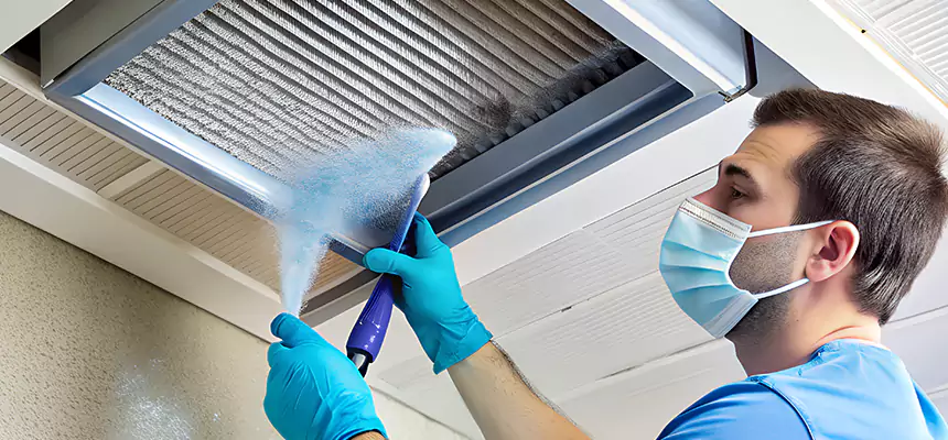 Proactive Dryer Vent & Auxiliary Duct Pollen Cleanup in Palm Harbor, FL