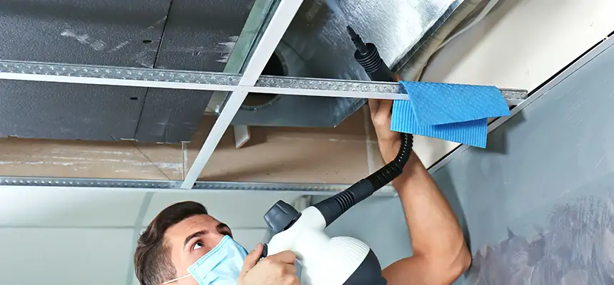 Our Air Duct Rodent Removal Services in Palm Harbor, FL