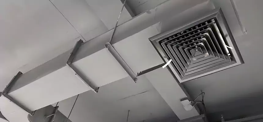 Restorative Allergy Relief Vent Cleaning – Coil, Blower & Housing Detail in Palm Harbor