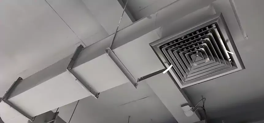 Our Pest Removal From Ducts Services in Palm Harbor, FL