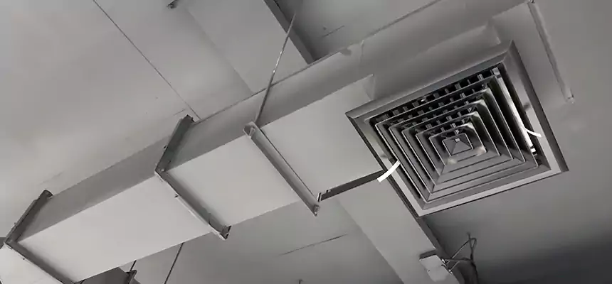 Our Rodent Droppings In Vents Services in Palm Harbor, FL