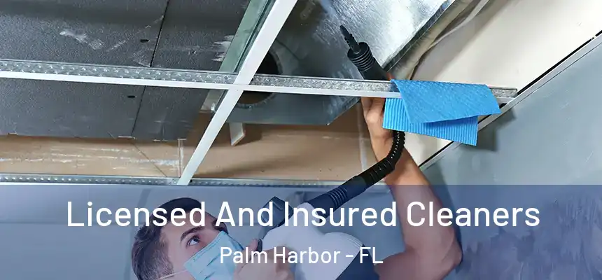  Licensed And Insured Cleaners Palm Harbor - FL