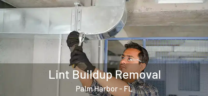  Lint Buildup Removal Palm Harbor - FL