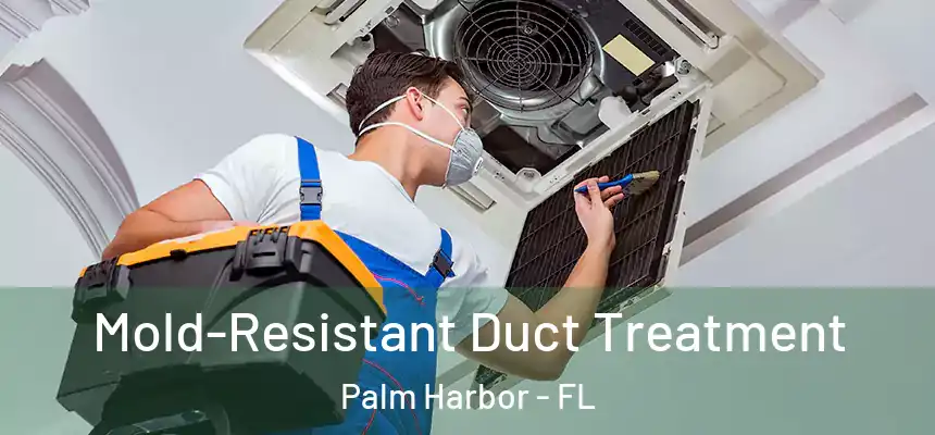  Mold-Resistant Duct Treatment Palm Harbor - FL