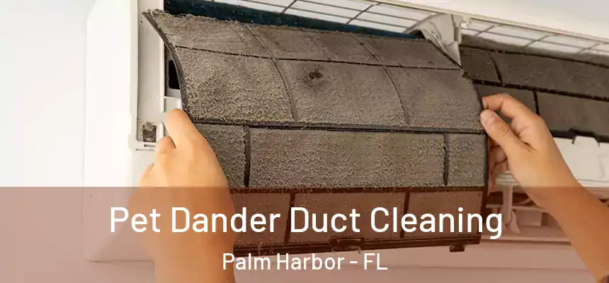  Pet Dander Duct Cleaning Palm Harbor - FL