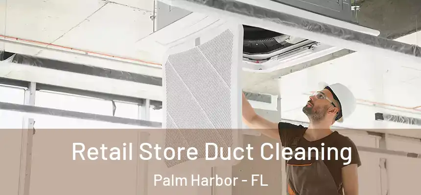  Retail Store Duct Cleaning Palm Harbor - FL