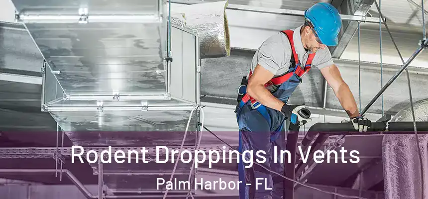  Rodent Droppings In Vents Palm Harbor - FL