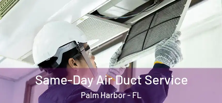  Same-Day Air Duct Service Palm Harbor - FL