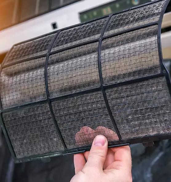 Top-notch AC Air Filter Replacement in Palm Harbor