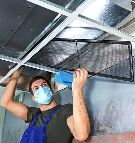 About Air Duct Bacteria Removal in Palm Harbor