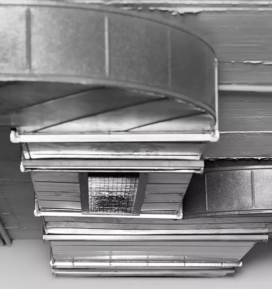 Professional Air Duct Pet Hair Removal in Palm Harbor, FL