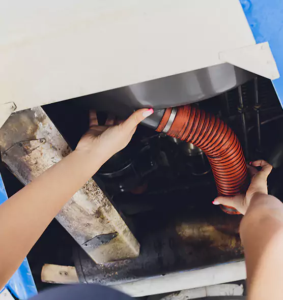 About Air Duct Virus Disinfection in Palm Harbor, FL
