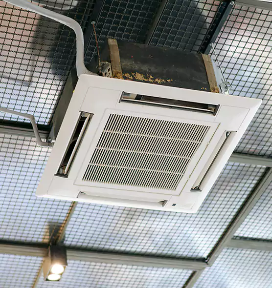 Top-Notch Allergy Relief Vent Cleaning Services in Palm Harbor, FL