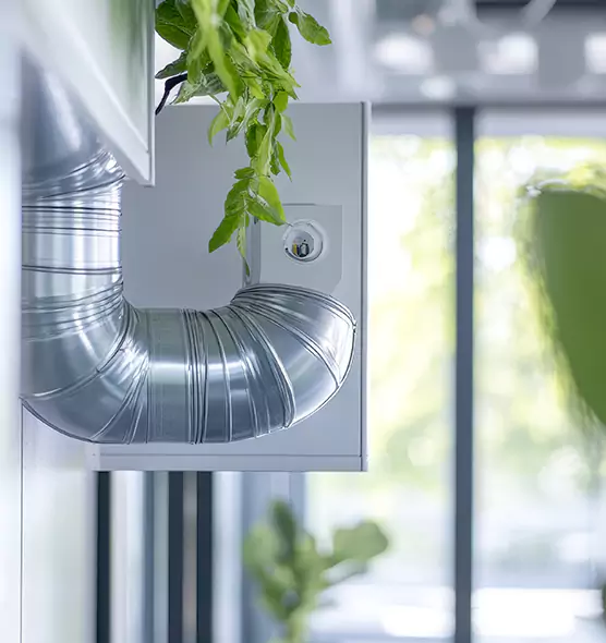 Professional Eco-Safe Dryer Vent Cleaning in Palm Harbor, FL