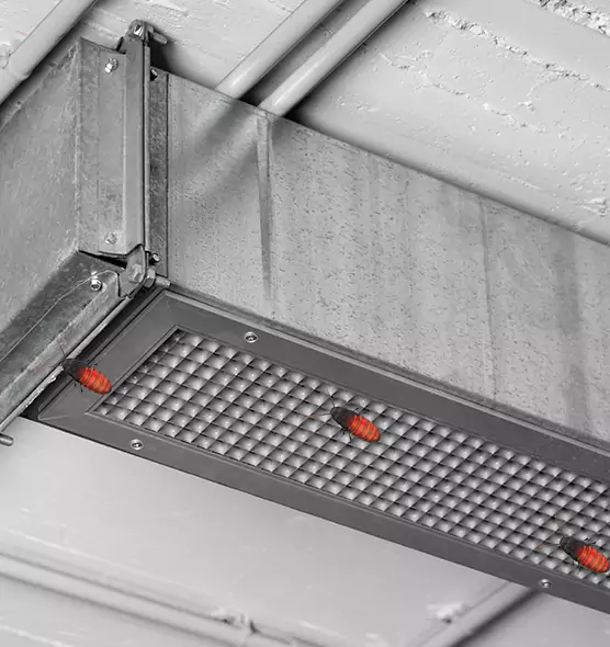 Affordable Insect Removal from Air Ducts in Palm Harbor, FL