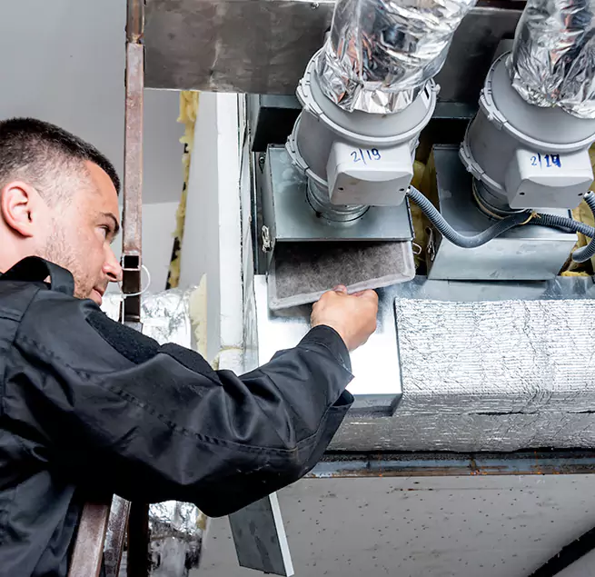 Why Homeowners & Businesses Trust Us in Palm Harbor, FL?