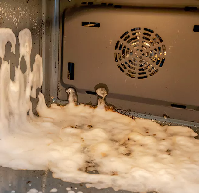 Why Homeowners Businesses Trust Us in Palm Harbor, FL?