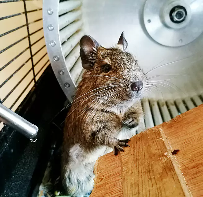 Why Homeowners & Businesses Trust Us Palm Harbor, FL?