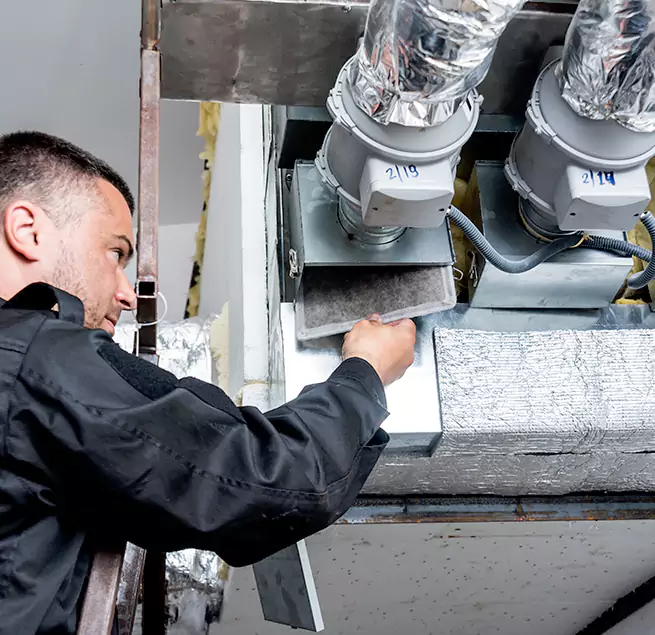 Why Homeowners & Businesses Trust Us in Palm Harbor, FL