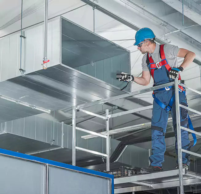 Why Homeowners & Businesses Trust Us in Palm Harbor, FL?