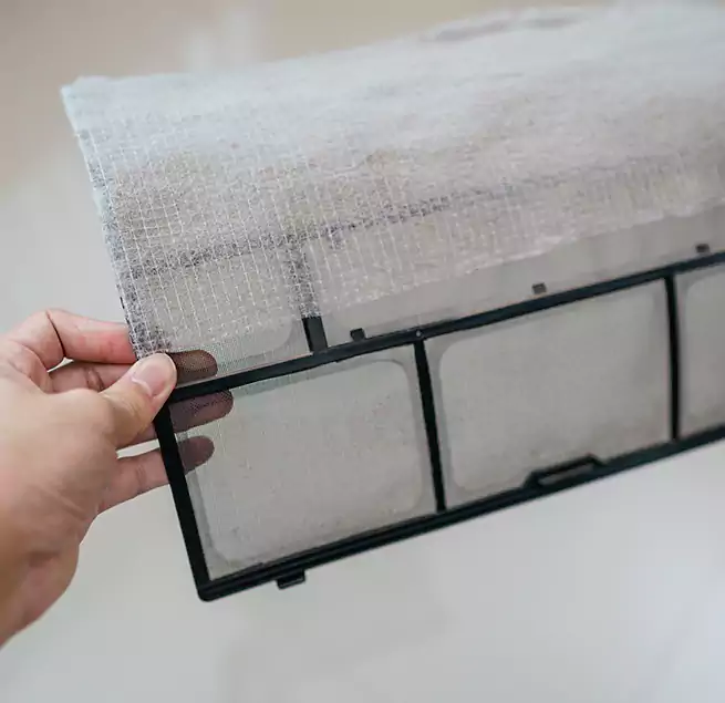 Why Homeowners & Businesses Trust Us in Palm Harbor, FL?